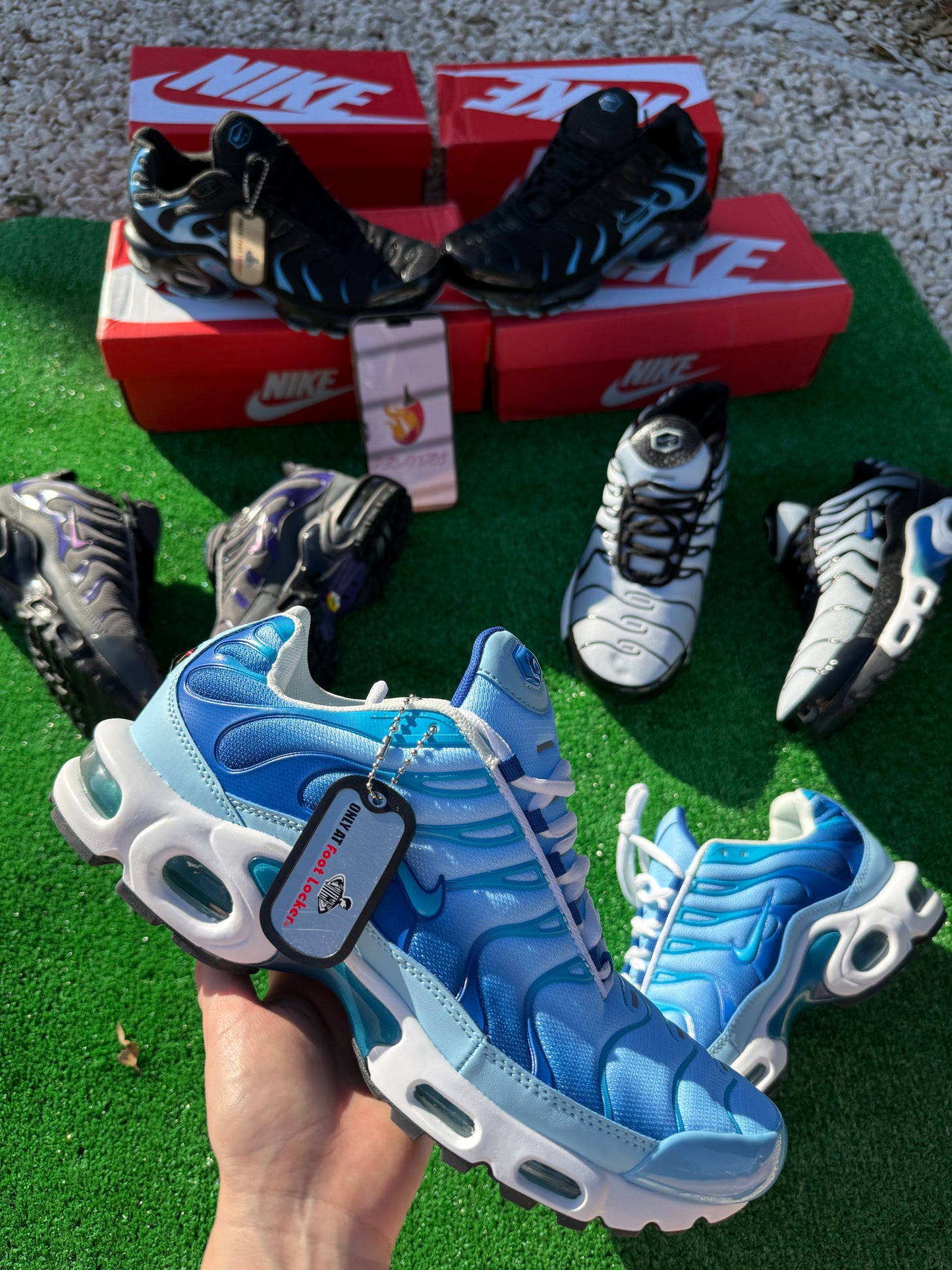 Tn Azules