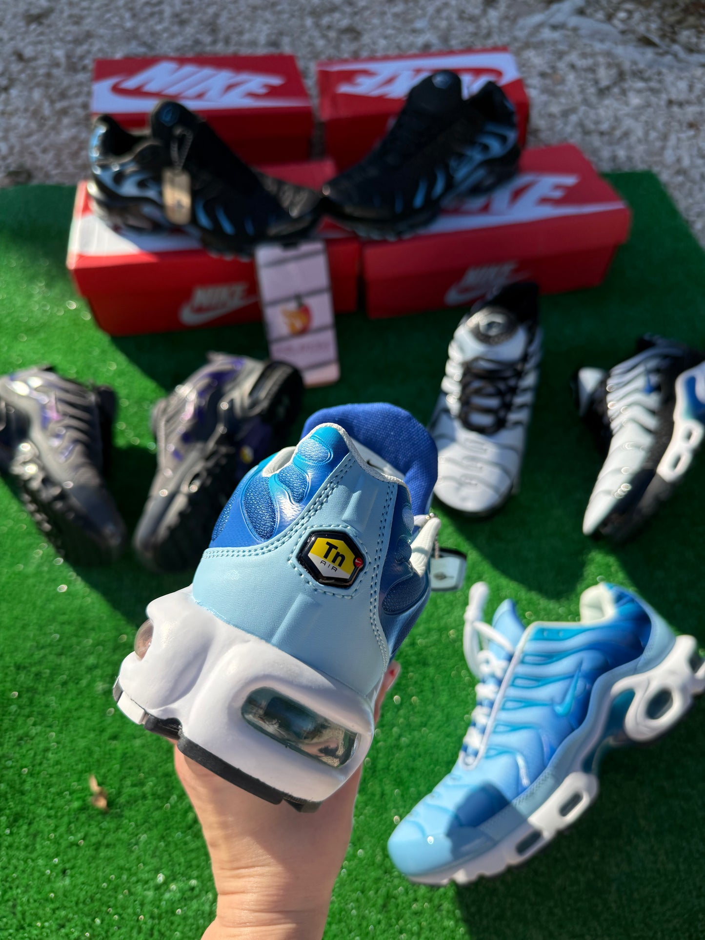 Tn Azules