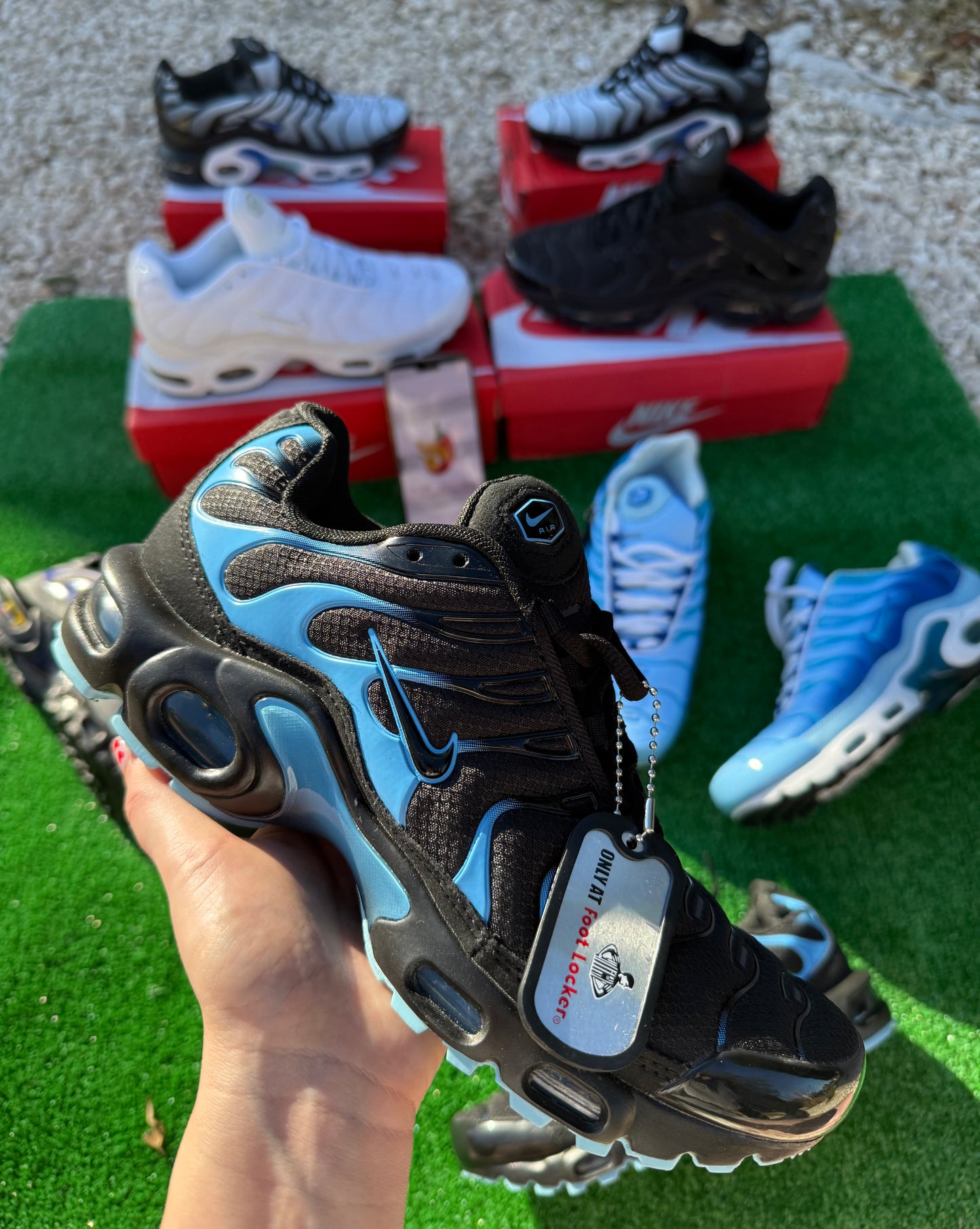 Tn Negro con azul