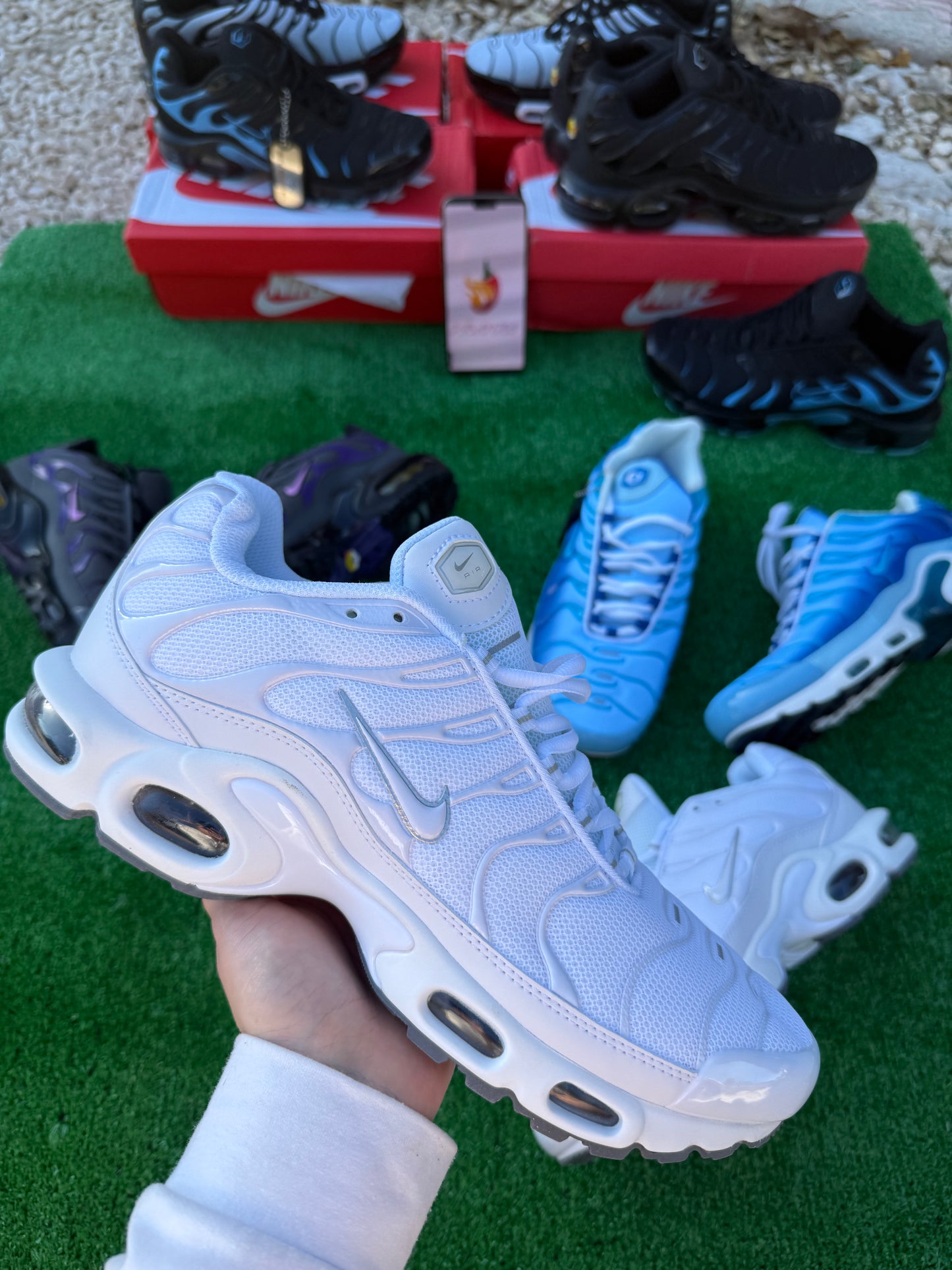 TN BLANCA