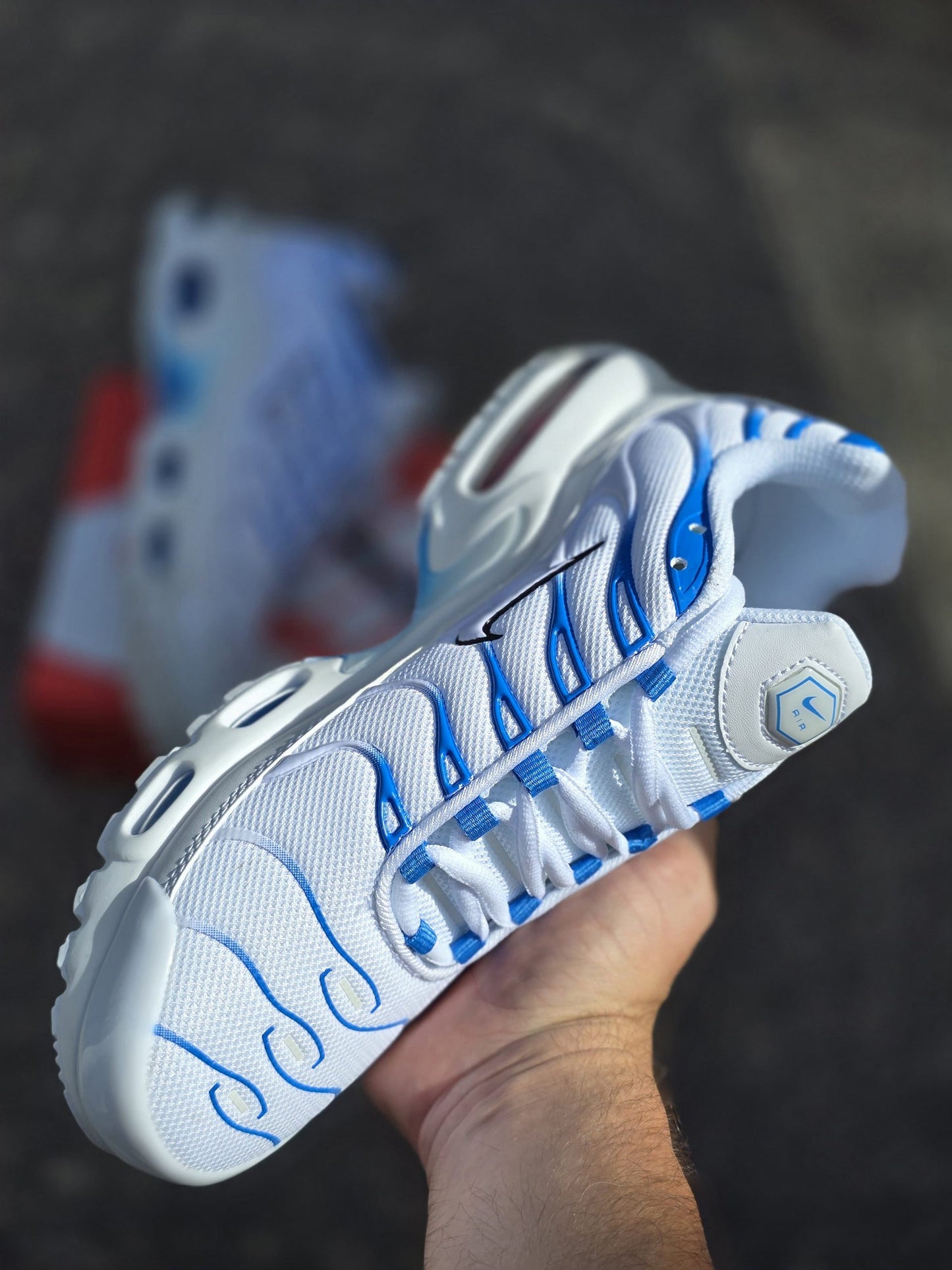 TN blanca con azul