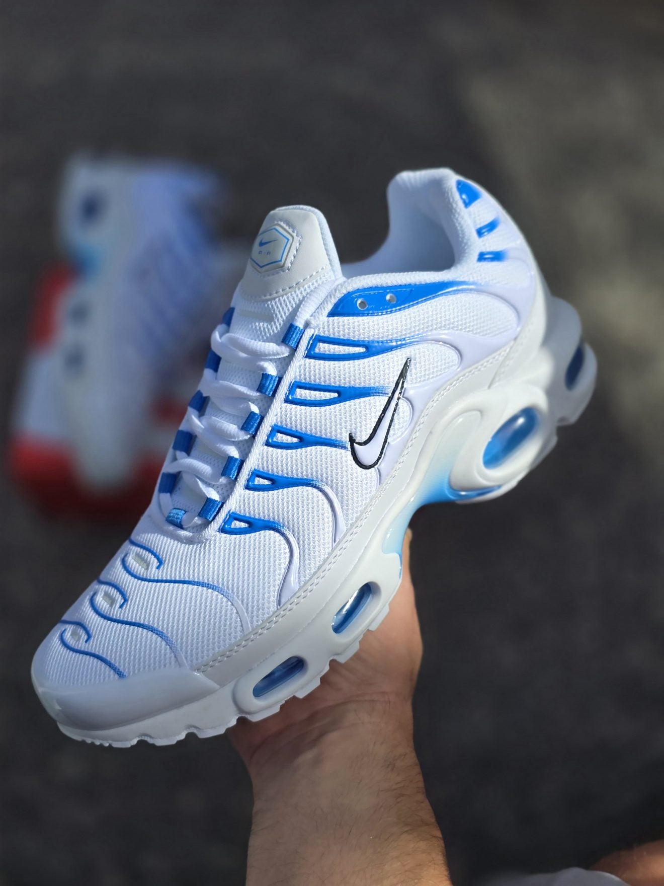 TN blanca con azul